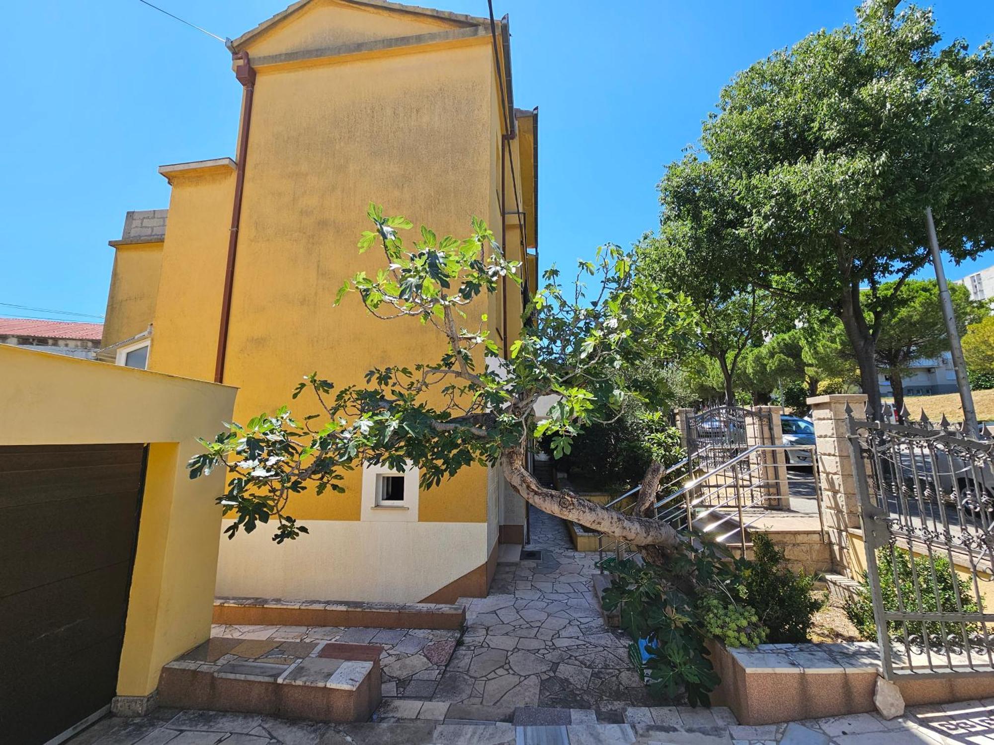 Apartments Nena Split Extérieur photo
